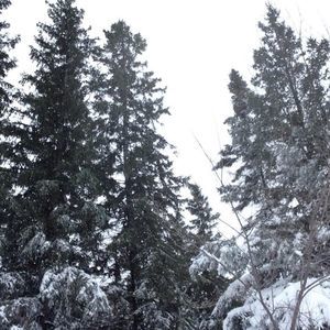 Meet your Posher, Drew